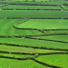 Bodmin Moor