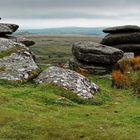 Bodmin Moor