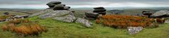 Bodmin Moor