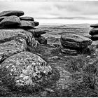 Bodmin Moor