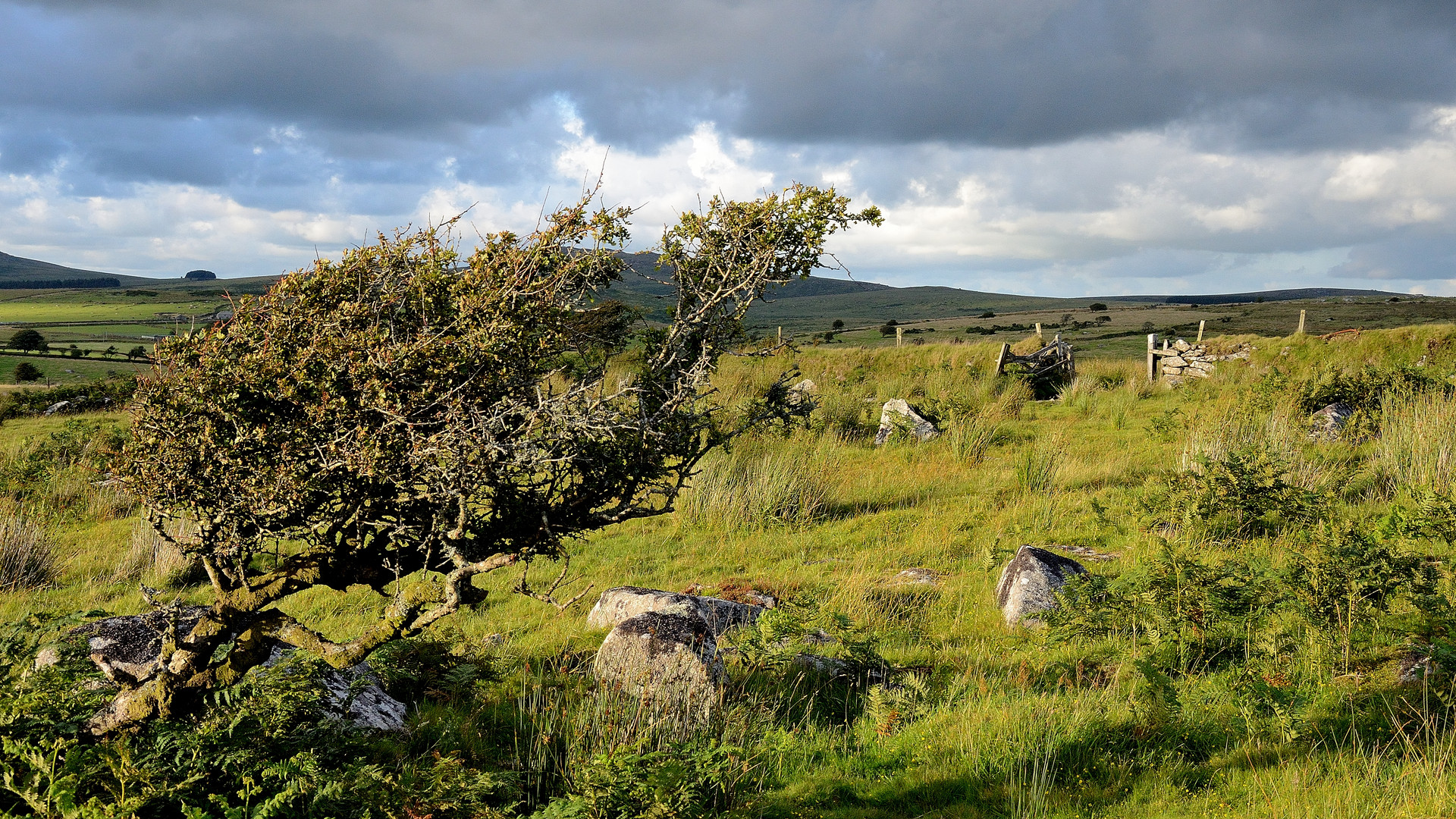 Bodmin moor