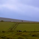 Bodmin Moor Cornwall