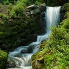 Bodnant Garden