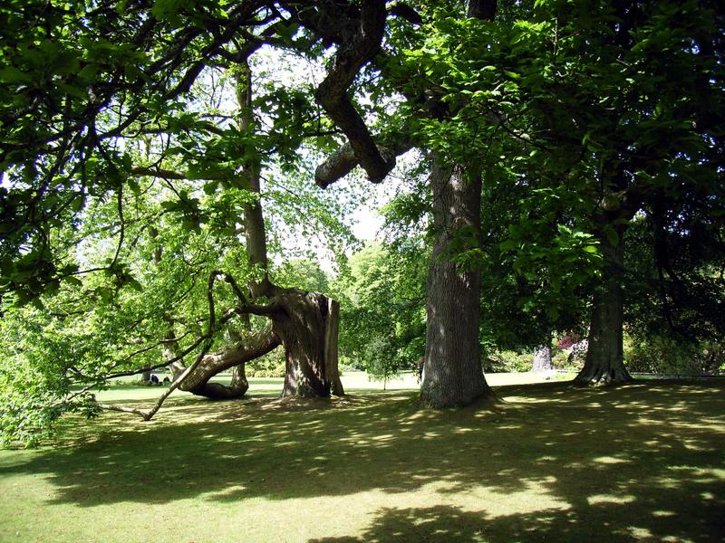 Bodnant Garden