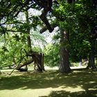 Bodnant Garden