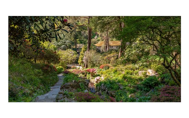 Bodnant Garden - das ist was, für alle die Gärten, Park´s, Natur und Pflanzen mögen