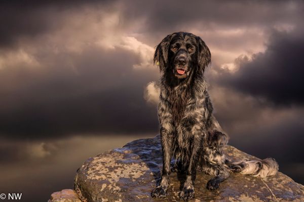 Bodo in Gewitterwolken 2.0