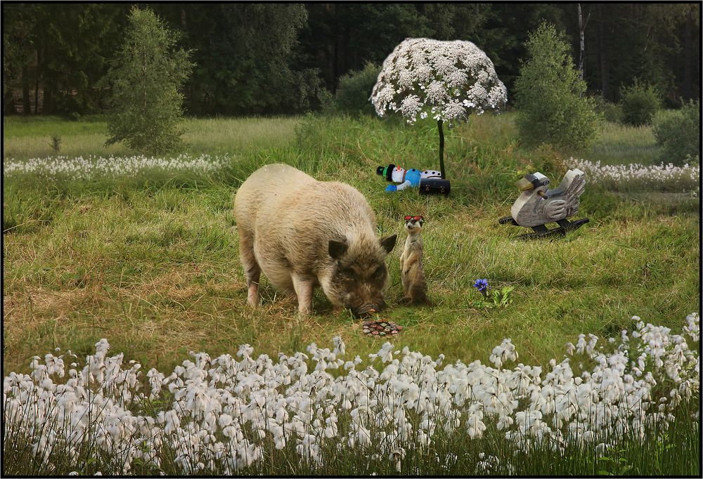 Bodo macht eine Picknickpause ...