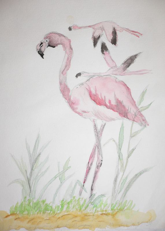 Bodo seine Flamingos