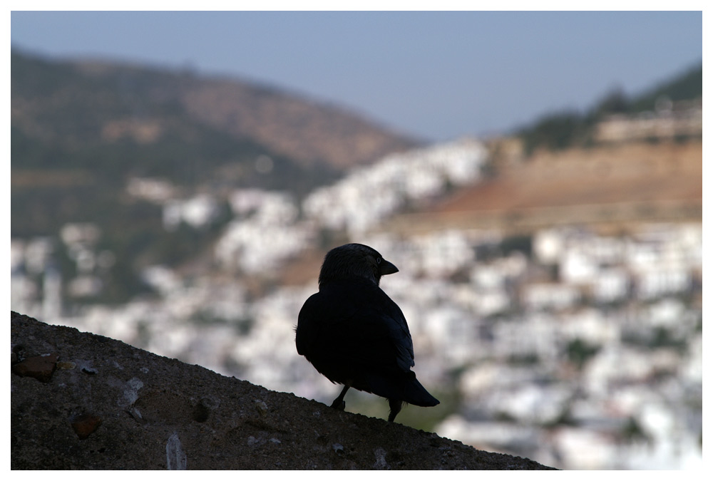 Bodrum, aus dem Burg