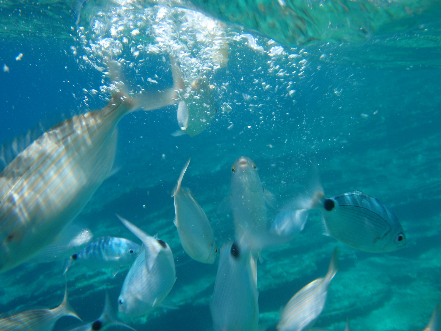 Bodrum Underwater 1 - Smugglers Bay