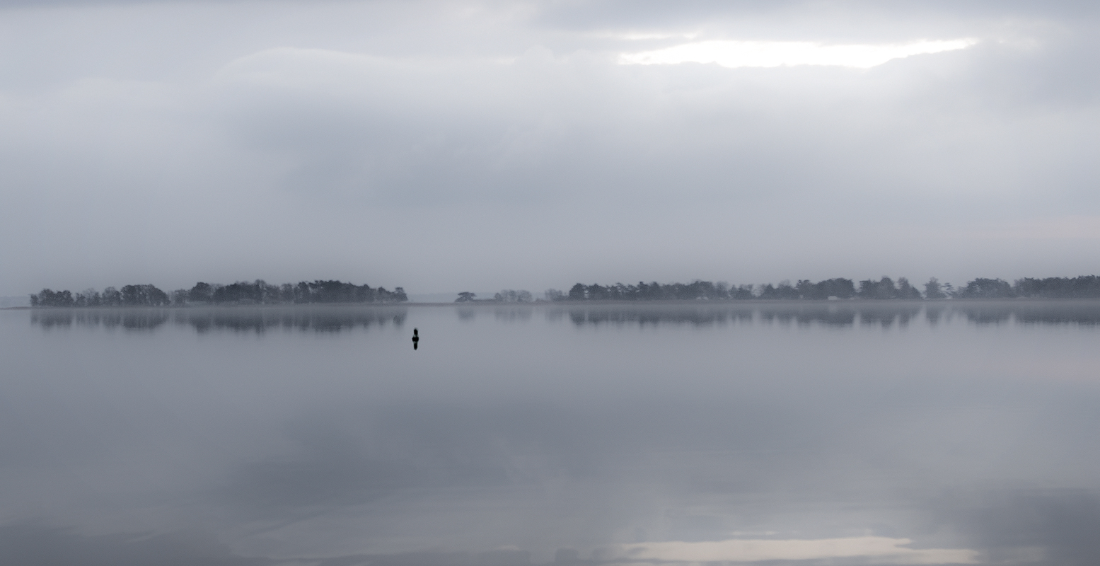 Bodstedter Bodden