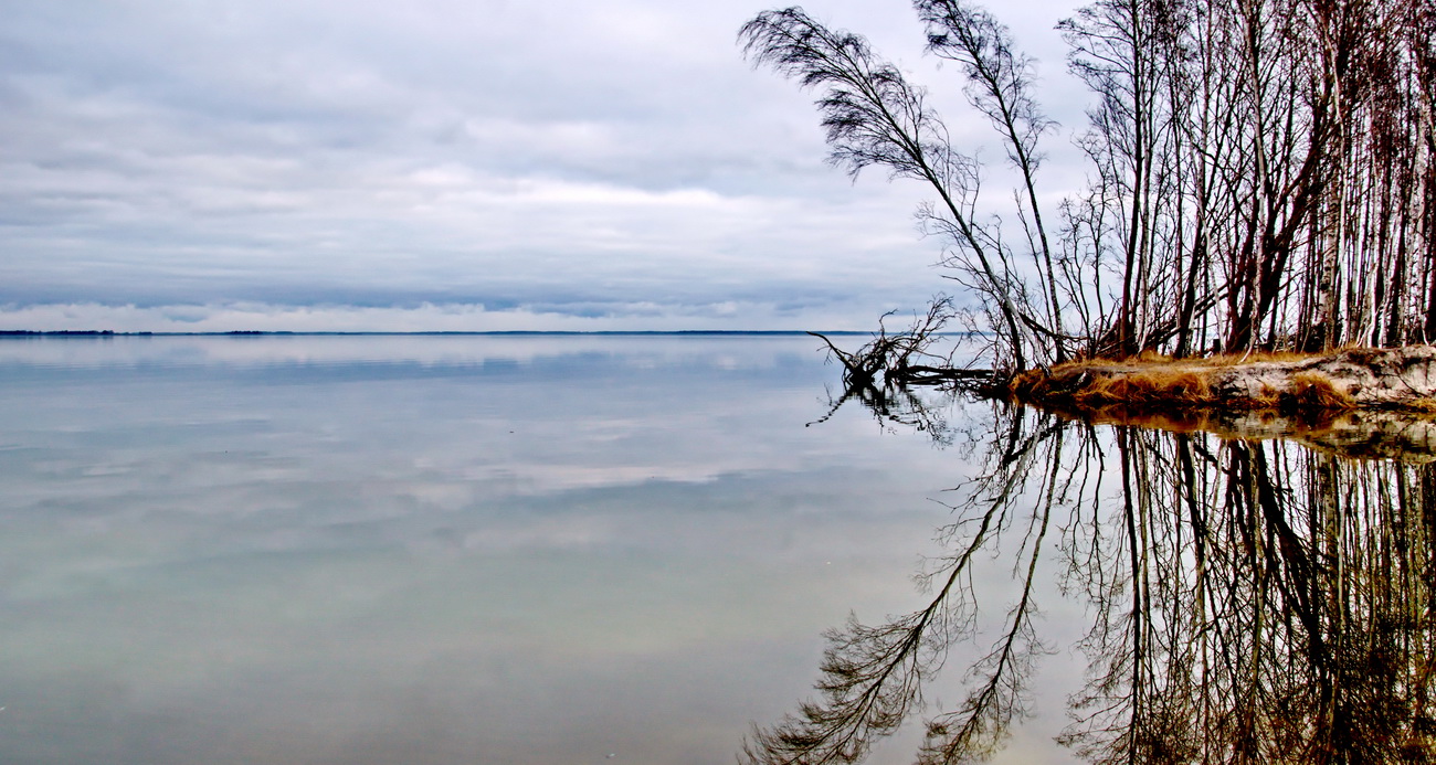 Bodstedter Bodden