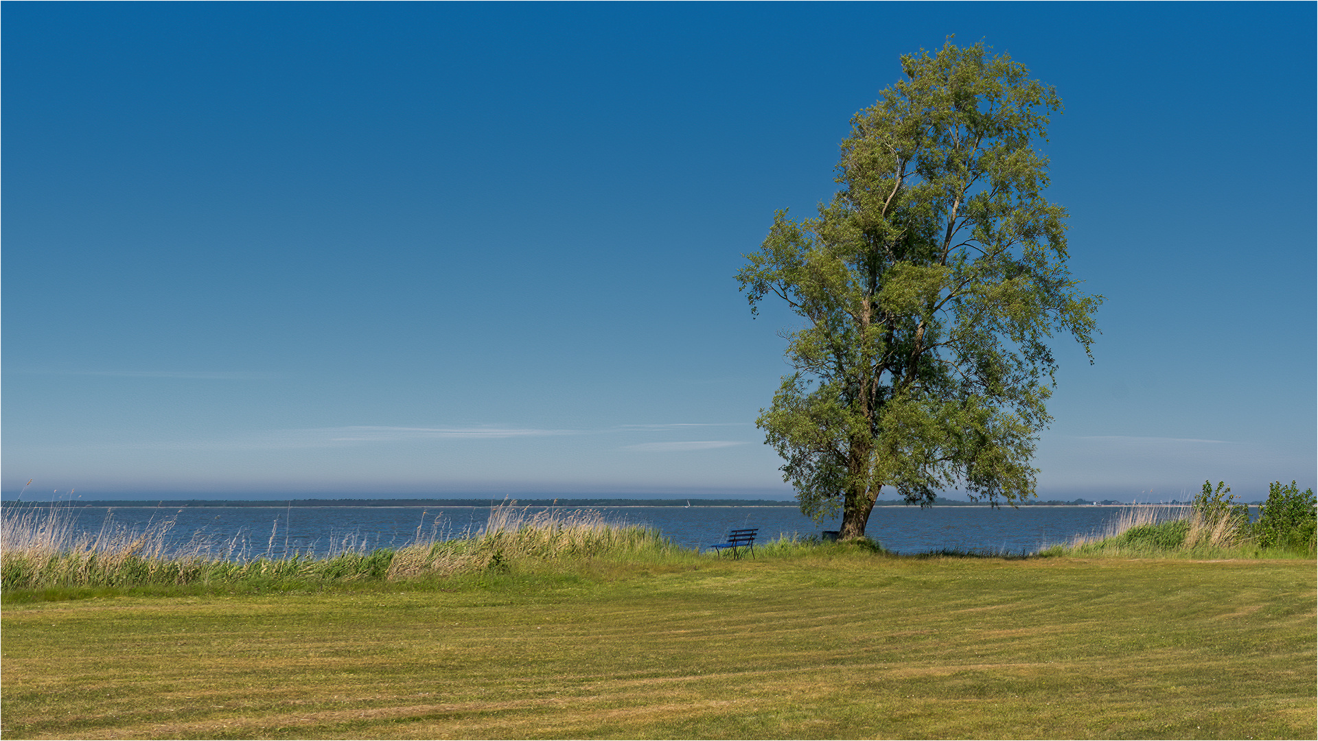 Bodstedter Bodden