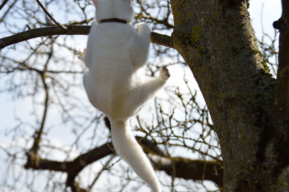 Body Stretching