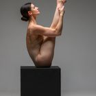 Bodyart + Acrobatic Series