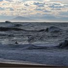 Bodyboarders courageux ou téméraires…? 