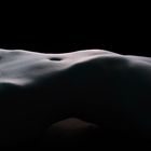 bodyscape