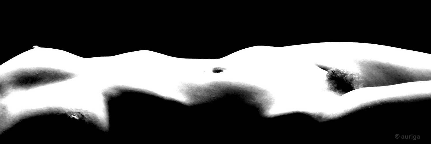 bodyscape