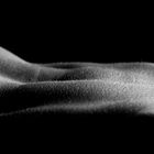 Bodyscape