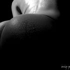 bodyscape1