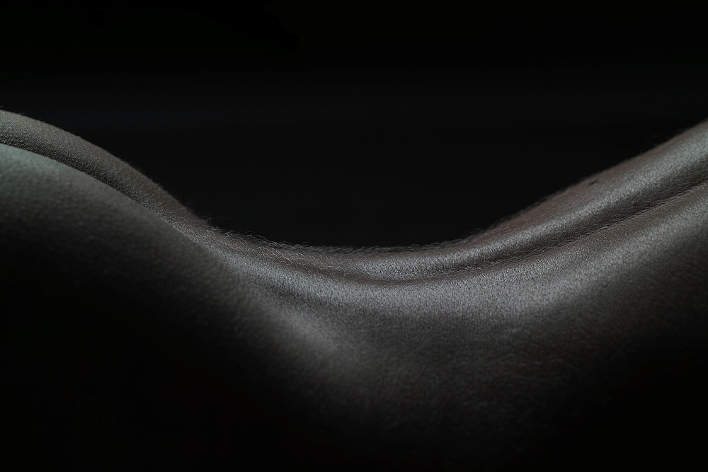 Bodyscapes