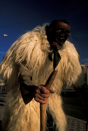 Boe - Maschera carnevalesca - Ottana (NU) - Sardegna