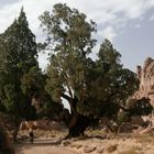 Böcklins Toteninsel im Tassili