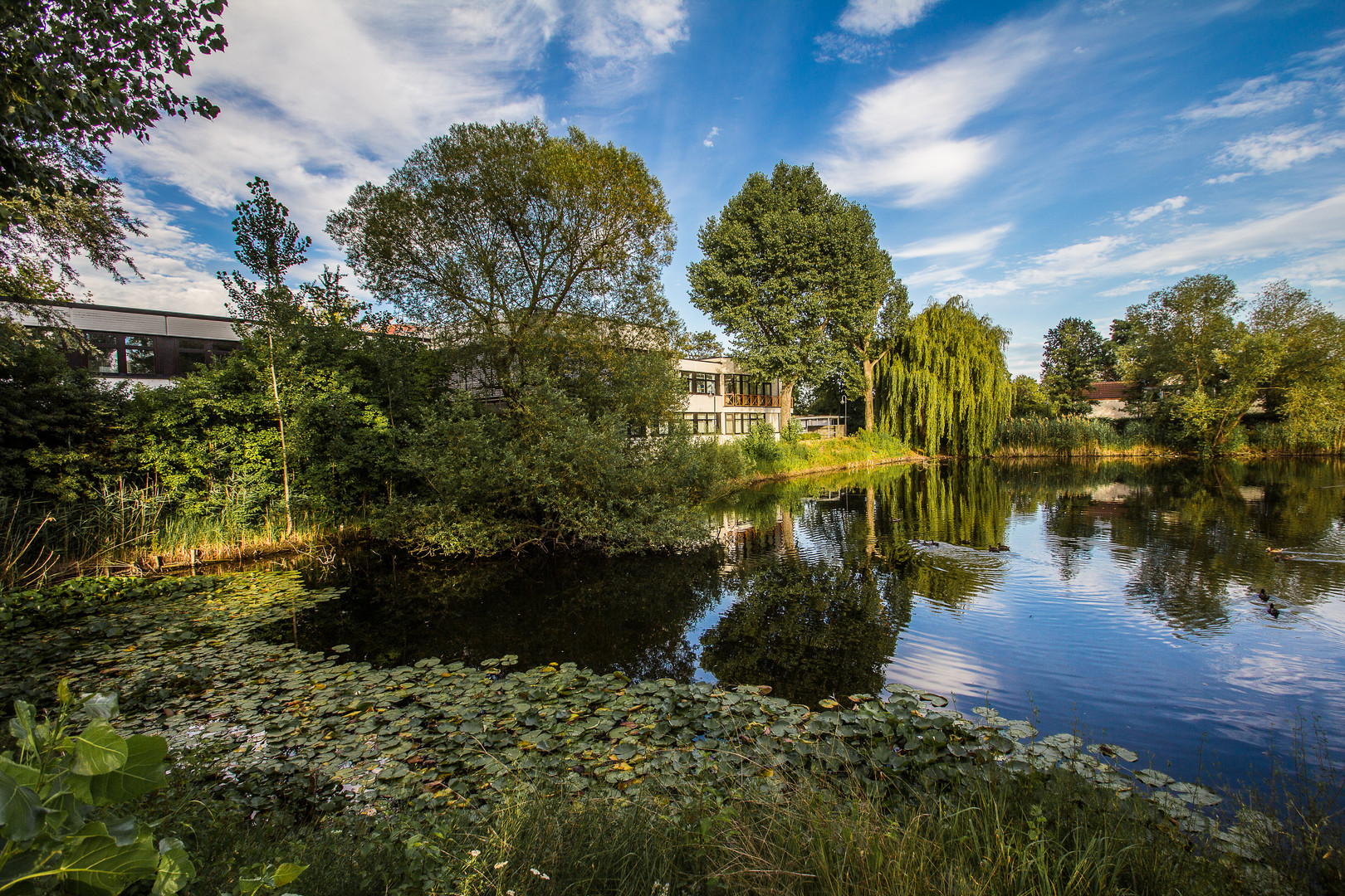 Böhl-Iggelheim, der Schwarzweiher