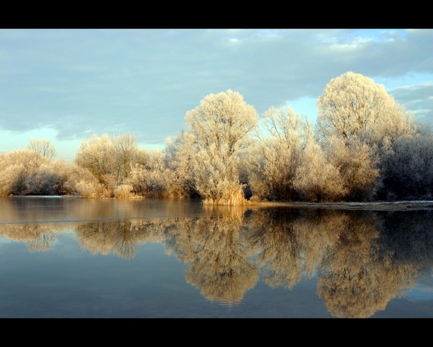 Böhmer Weiher