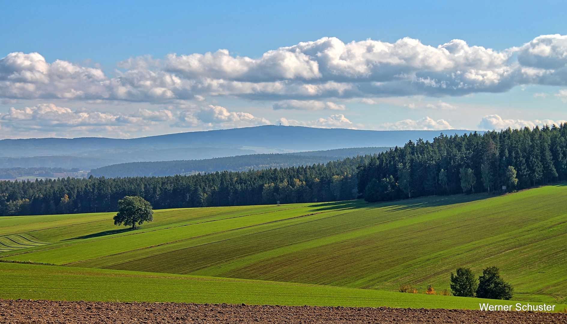 Böhmerwald