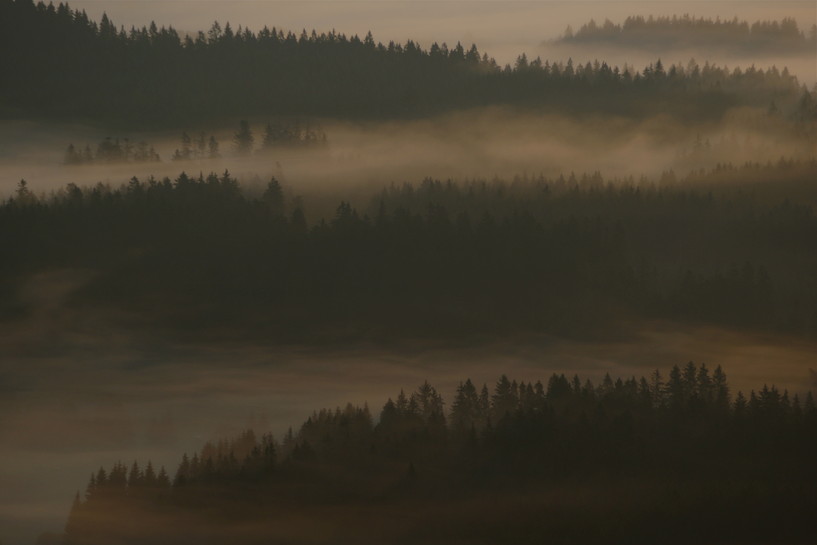 Böhmerwald, Nationalpark Sumava