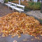 Böhmische Bäder...Herbst