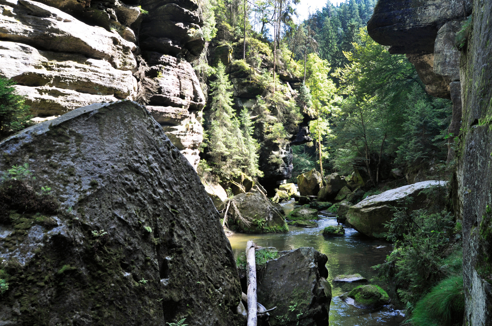 Böhmische Schweiz (5)