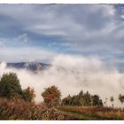 Böhmischer Nebel 4