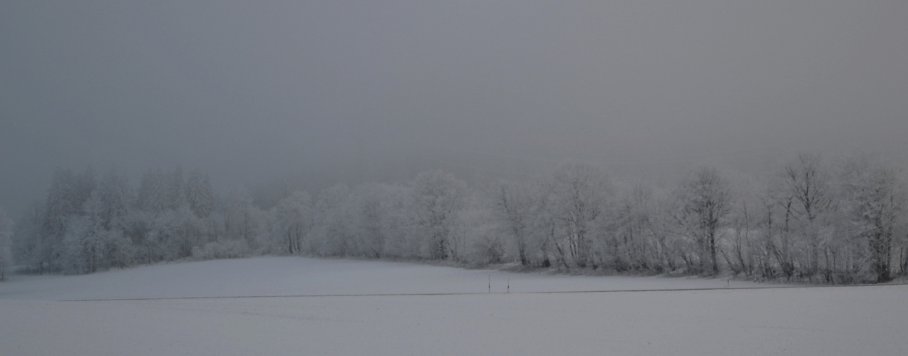 ... "böhmischer" Nebel über dem Kamm