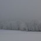 ... "böhmischer" Nebel über dem Kamm