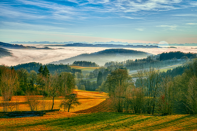 Böhmischer Wald