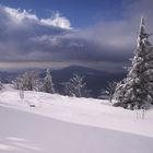 Böhmischer Wind II