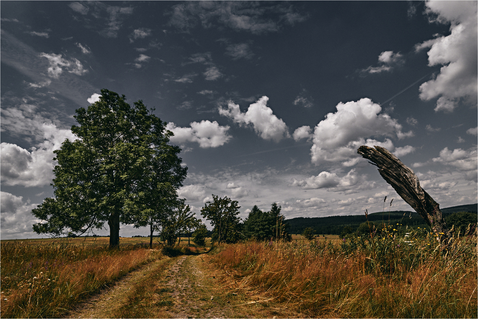 Böhmisches Erzgebirge