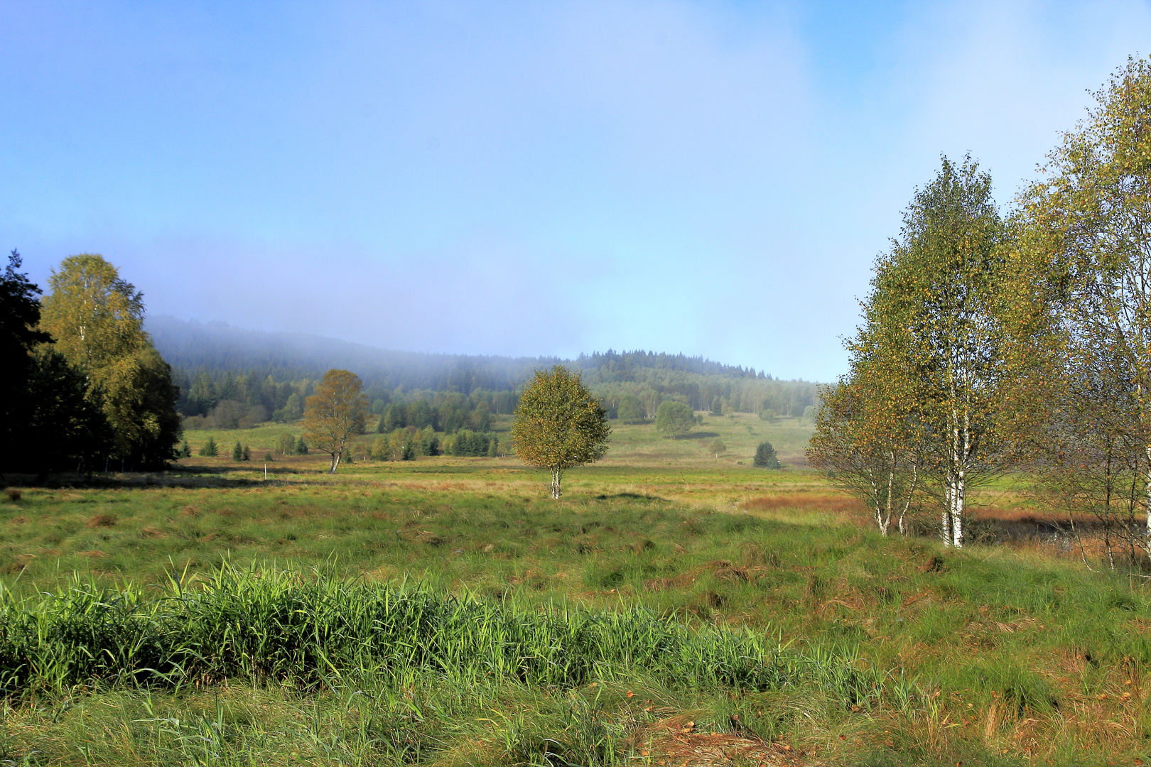 böhmisches Grenzgebiet im letzten Morgennebel