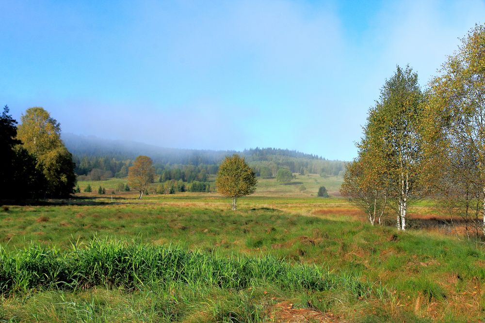 böhmisches Grenzgebiet im letzten Morgennebel