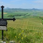 Böhmisches Mittelgebirge von der Hasenburg (Hazmburk)