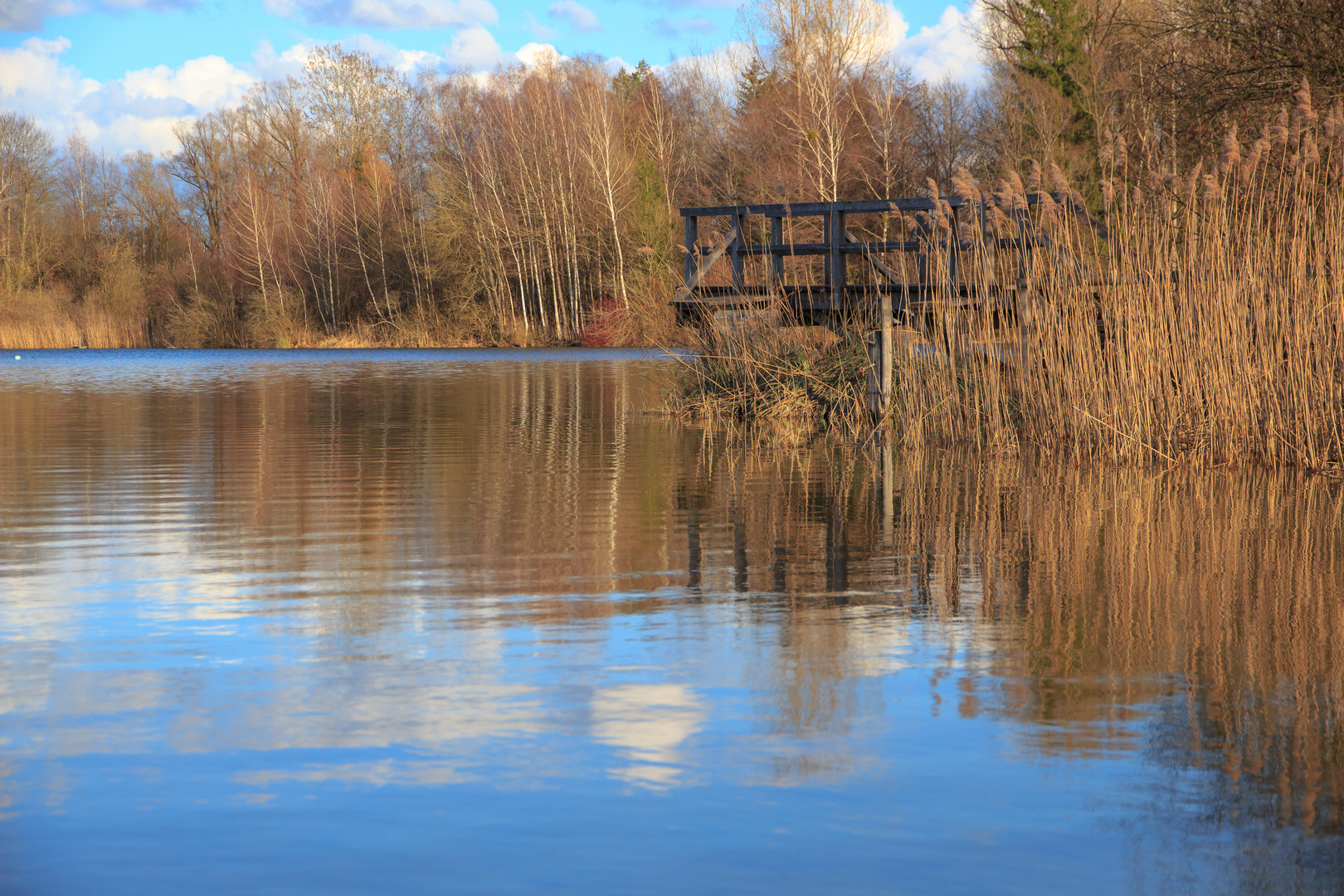 Böhringer See