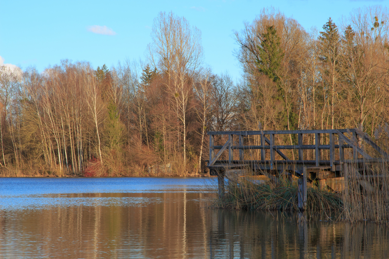 Böhringer See im Abendlicht