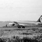 Boeing 707, 1960 in Kloten