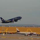 Boeing 737-500F BlueBird Cargo TF-BBG