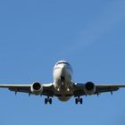 Boeing 737-800 at Amsterdam