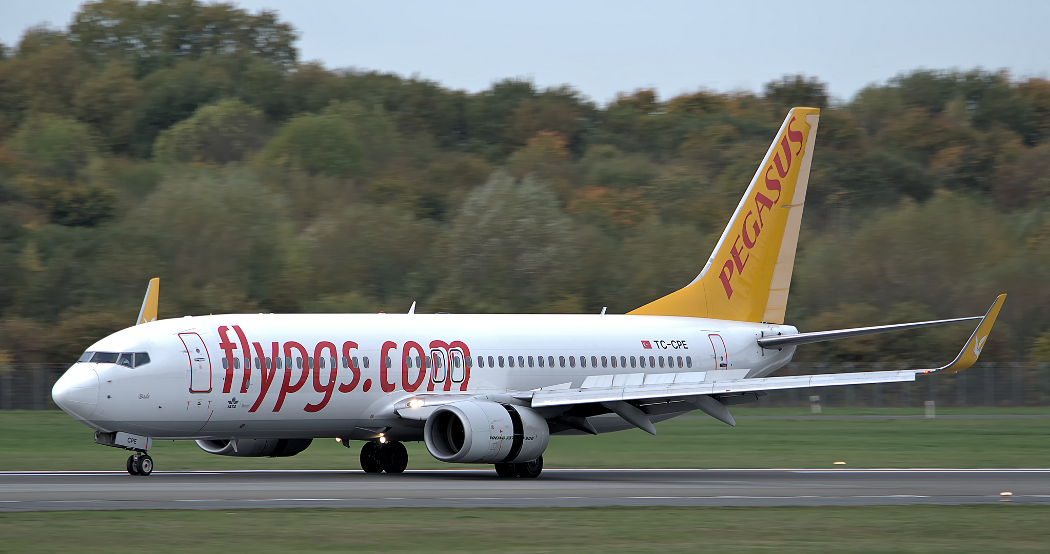 Boeing 737-82R - Pegasus Airlines