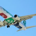 Boeing 737 - Transavia